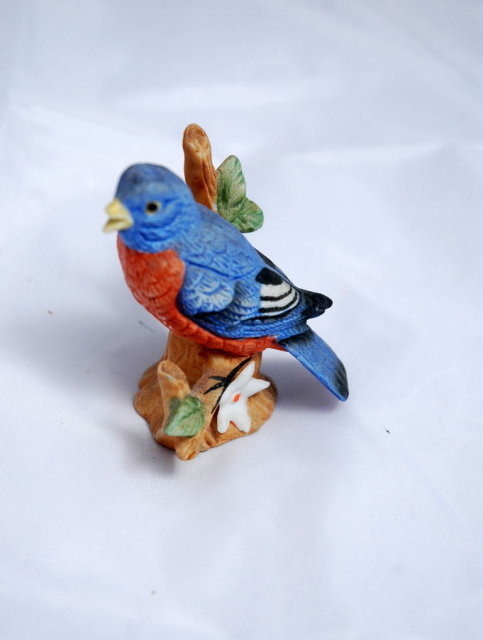 Bisque Eastern Blue Bird perched on branch