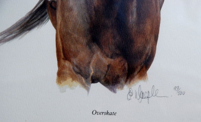 Racehorse Overskate & Jocky Robin Platts Print