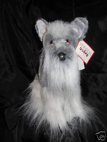 Maurice the Schnauzer 10