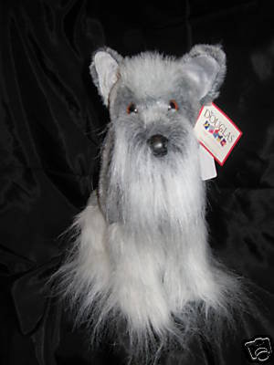 Maurice the Schnauzer 10
