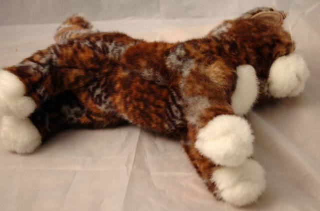 COSMO THE TORTOISE CAT by Douglas Cuddle Toys 12