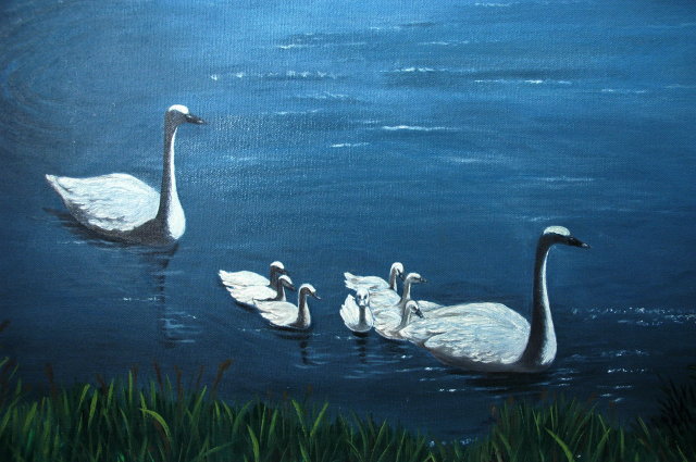 Swan Oil Painting on LARGE Canvas Signed V. Ellingsworth