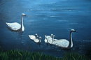 Swan Oil Painting on LARGE Canvas Signed V. Ellingsworth