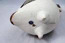 Mexican Pottery Stoneware Quail with enameling