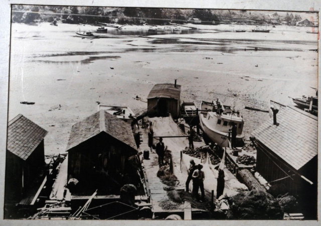 Old Photo of Shilshoe Bay Marina 19th century **PRICE REDUCTION**!!