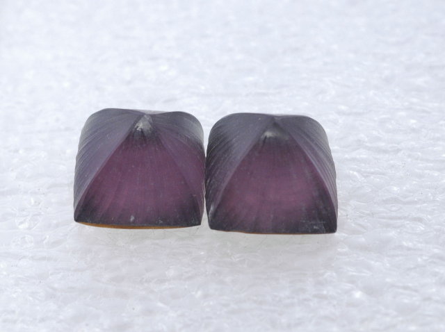 Alexis Bittar Hand Alexis Bittar Carved Lucite Puffed Pyramid Post Earrings
