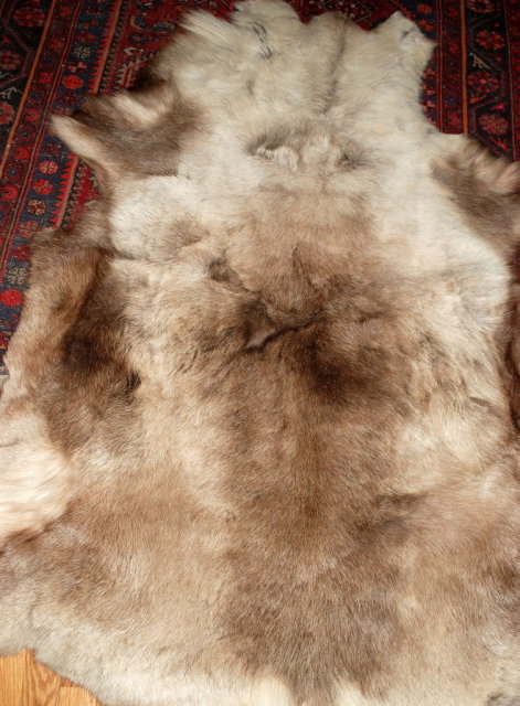 Genuine Caribou Fur Hide Rug of Thick Long Fur western decor