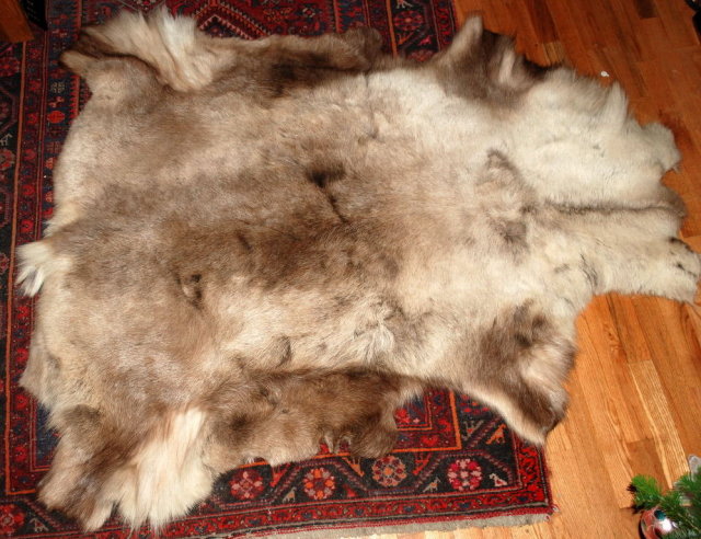 Genuine Caribou Fur Hide Rug of Thick Long Fur western decor