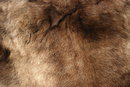 Genuine Caribou Fur Hide Rug of Thick Long Fur western decor