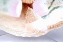 Limoges France, A. Klingenberg and Dwenger Porcelian Plate Hand painted artist signed