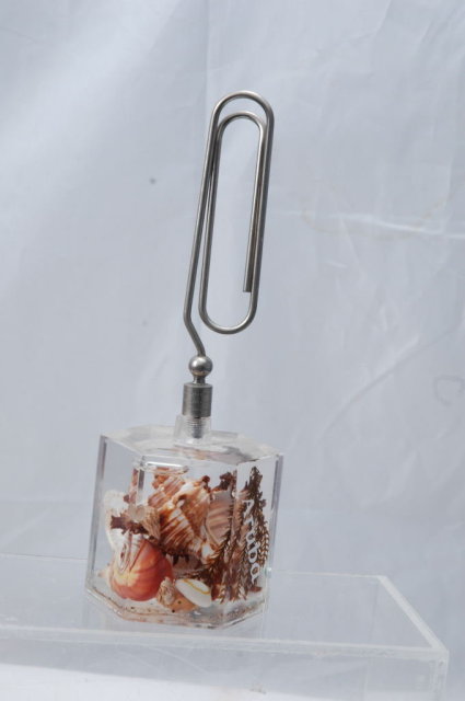 Shells in Lucite Letter Clip Souvenir of Aruba