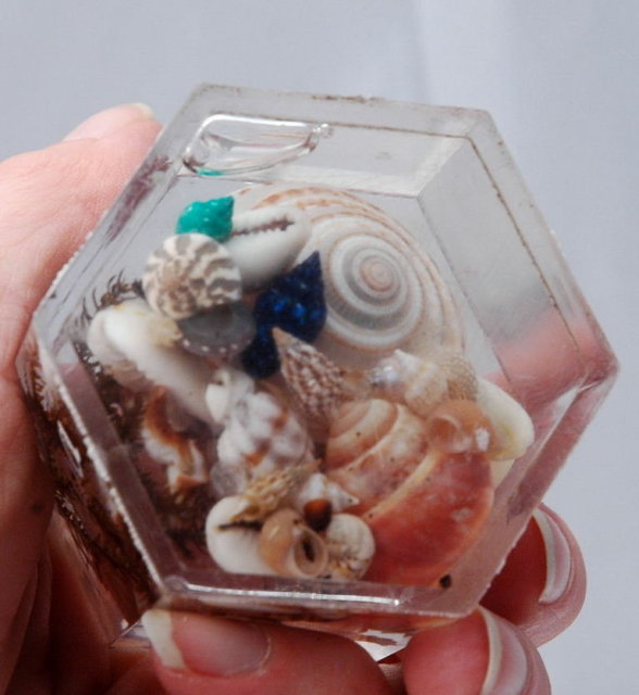 Shells in Lucite Letter Clip Souvenir of Aruba
