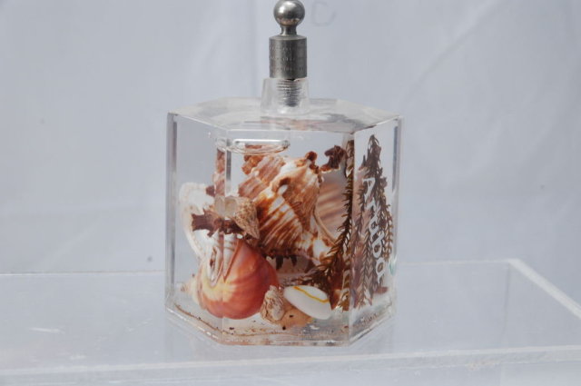 Shells in Lucite Letter Clip Souvenir of Aruba