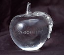 Glass Crystal Paperweight Etched