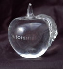 Glass Crystal Paperweight Etched