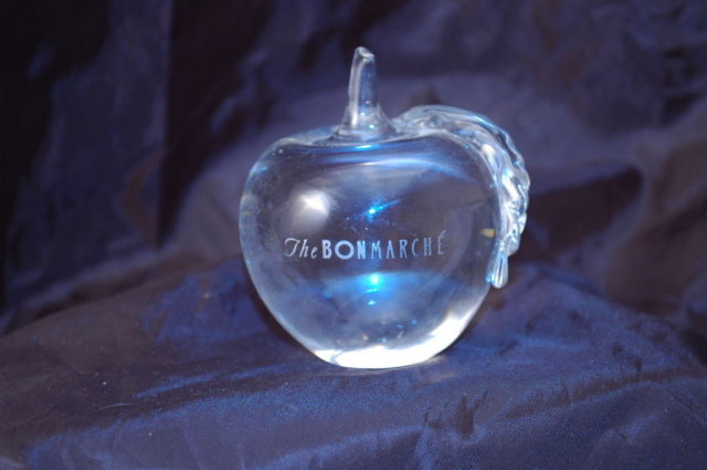 Glass Crystal Paperweight Etched