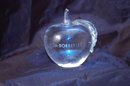 Glass Crystal Paperweight Etched