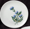 8 Iva-Lure by Crooksville USA Bread or Dessert Plates