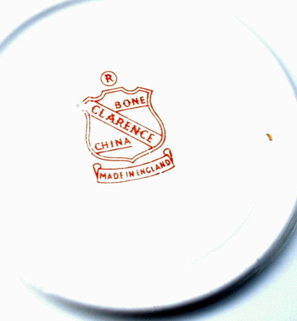Clarence Bone China Nome Alaska Eskimo Theme Tea Cup & Saucer
