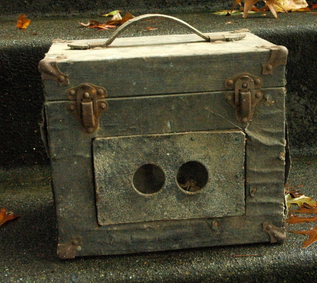 Antique Farm Egg Candler, Electric, Antique, circa 1910