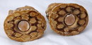 Old Chalk-ware Chipmunk Salt & Pepper Shakers