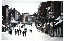 Photographic Print , Fred J. Maroon, Georgetown, DC - Wisconsin Avenue