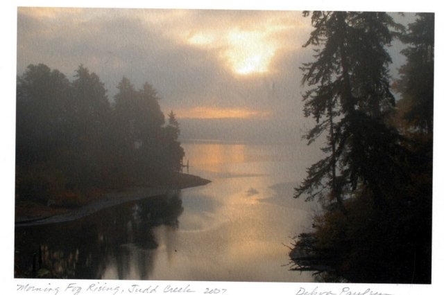 Morning Fog Rising, Judd Creek 2007 Photograph, Debra Paulson
