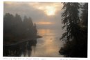 Morning Fog Rising, Judd Creek 2007 Photograph, Debra Paulson