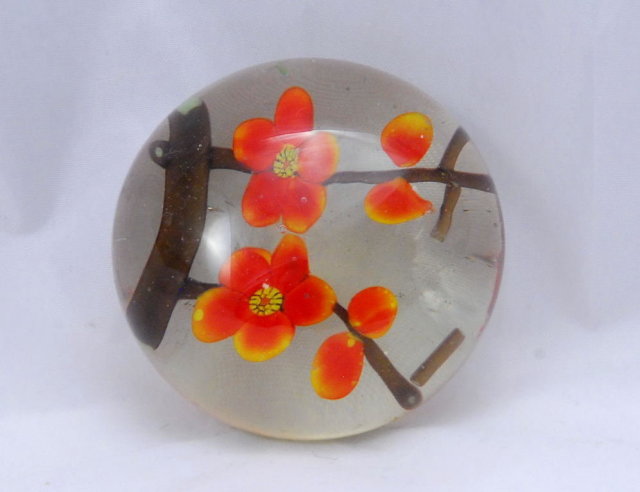 Flower in glass paperweight.