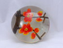 Flower in glass paperweight.