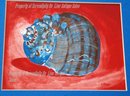 Moon Snail Shell Painting, Kathryn Russel 1982