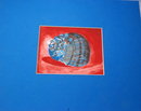 Moon Snail Shell Painting, Kathryn Russel 1982
