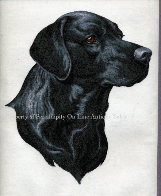 Black Labrador Dog Painting on Cloth * PRICED REDUCED! **