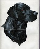 Black Labrador Dog Painting on Cloth * PRICED REDUCED! **