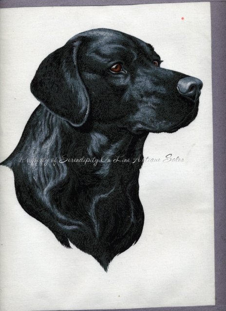 Black Labrador Dog Painting on Cloth * PRICED REDUCED! **