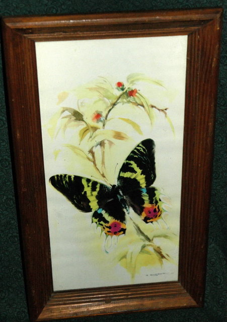 Butterfly Watercolor Print by B. Ballestar.