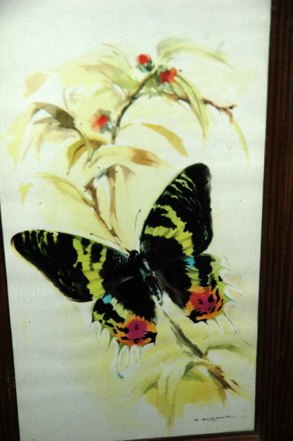 Butterfly Watercolor Print by B. Ballestar.