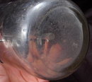 Old SHASTA WATER CO. Glass Seltzer Bottle