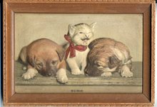 Atlas Embossed Picture Co. 3D Kitten, Puppy Picture