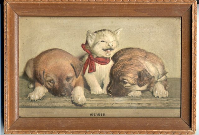 Atlas Embossed Picture Co. 3D Kitten, Puppy Picture