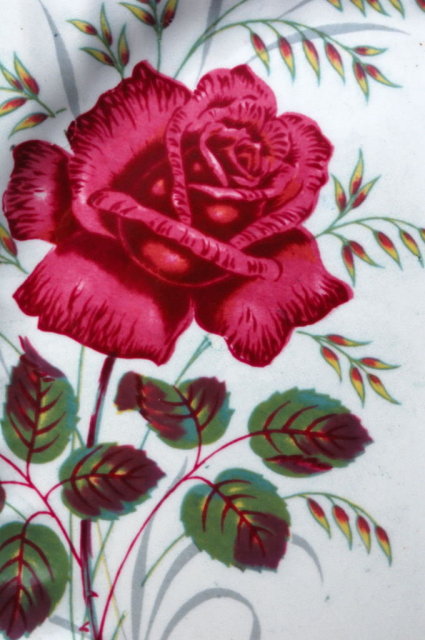 4 Wood & Sons, England Alpine White Ironstone 4 Rose 10